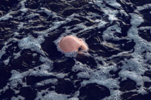 Scopri di più sull'articolo Cambiare tutto e cambiarlo subito