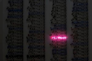 Scopri di più sull'articolo Il privilegio del fallimento