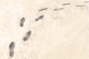 Scopri di più sull'articolo L’Ultimo viaggio