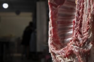 Scopri di più sull'articolo Una questione oziosa: la sensibilità dei macellai