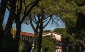 Scopri di più sull'articolo Incompetenza come metodo e licenziamenti come risultato